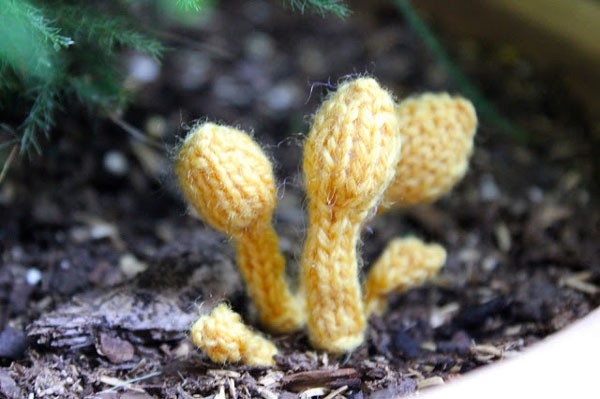 leigh martin - 52 forms of fungi - yellow house fungus
