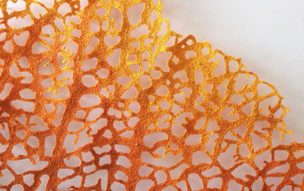 meredith woolnough - coral (detail)