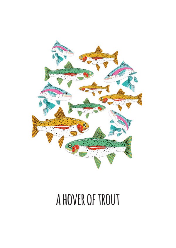 jen skelly - hover of trout