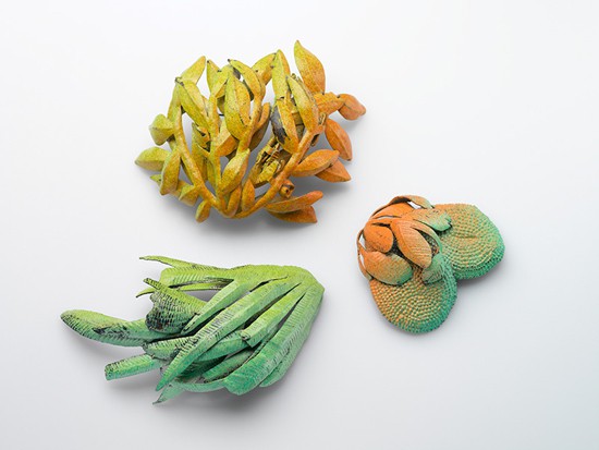 Julie Blyfield - pressed desert plants series