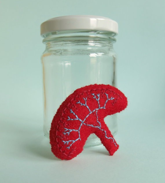 your organ grinder - placenta with specimen jar