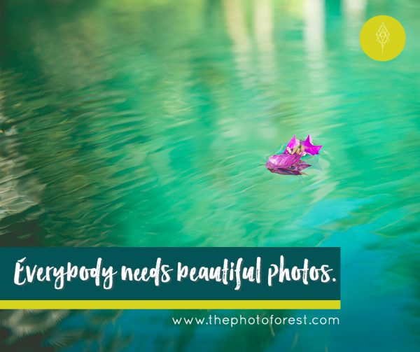 everybody-needs-beautiful-photos
