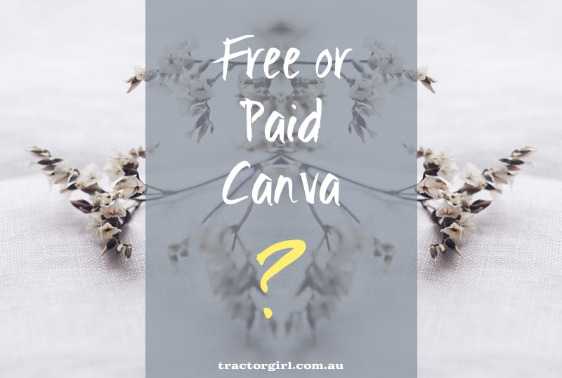 free or paid canva