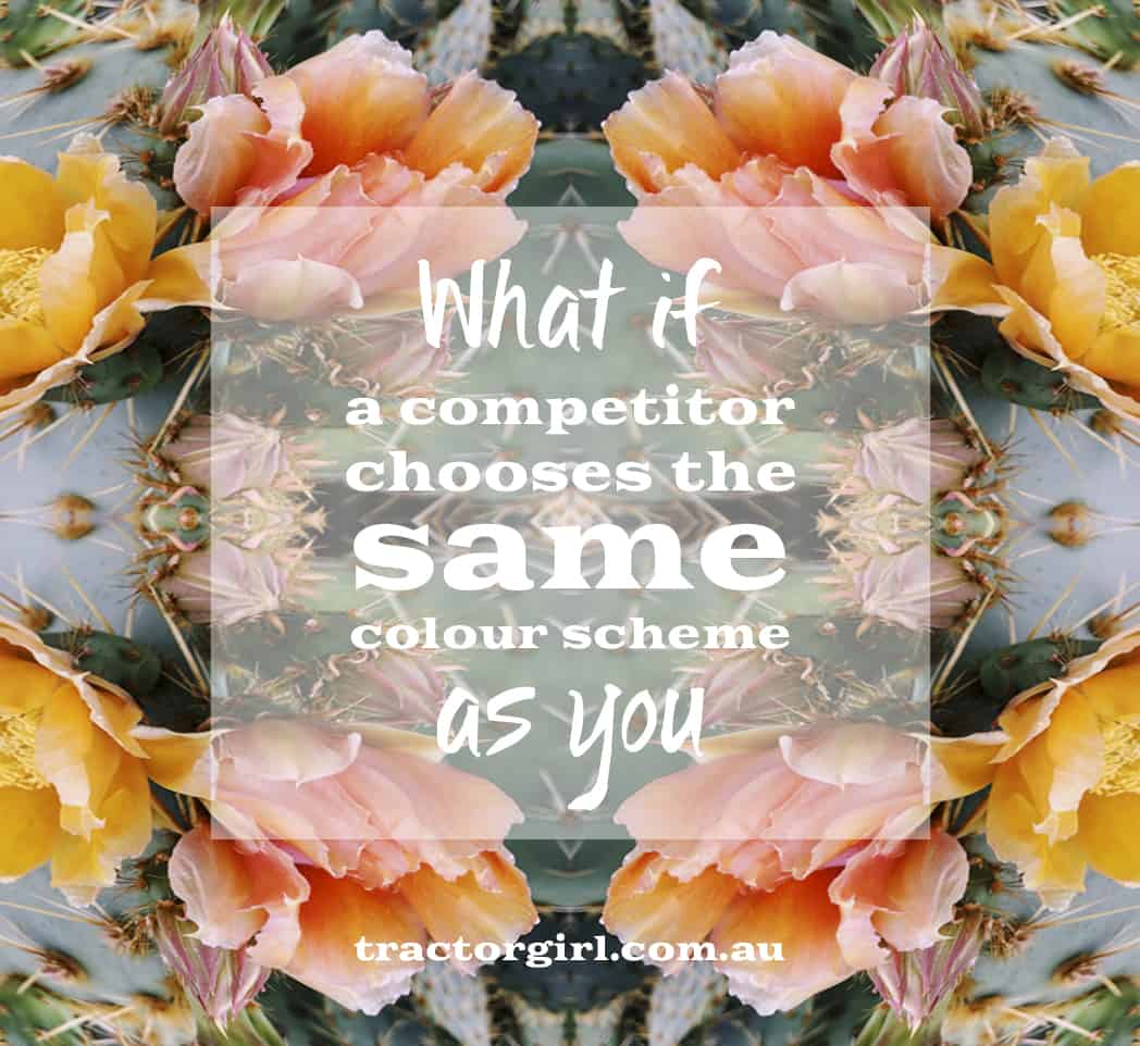 what if a competitor chooses the same colour scheme as you?